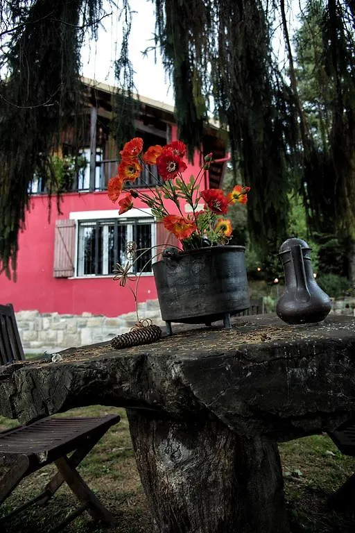 B&B La Capanna Rossa San Romolo Couette-café