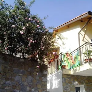 L'erba Degli Abrighi Vintimille