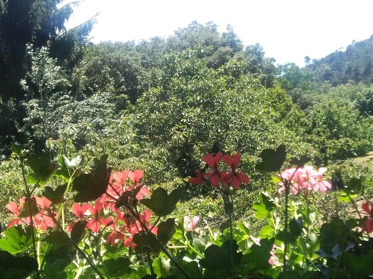 B&B La Capanna Rossa San Romolo